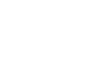 Janey Law Firm